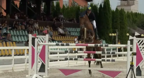 Чемпіонат України з кінного спорту: визначено переможців з подолання перешкод 6 Чемпіонат України з кінного спорту: визначено переможців з подолання перешкод 6