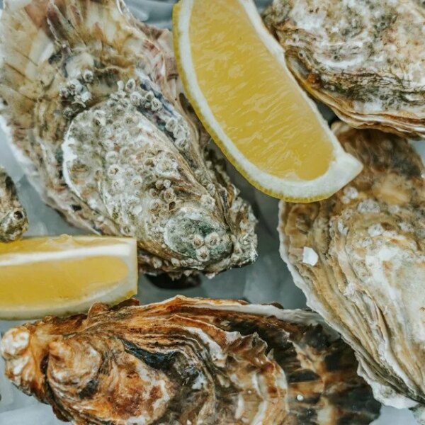 Сім морепродуктів для здоров’я серця та мозку: список для раціону