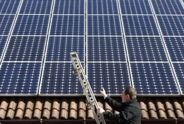 Колонія бджіл оселилася біля сонячних панелей у США 8