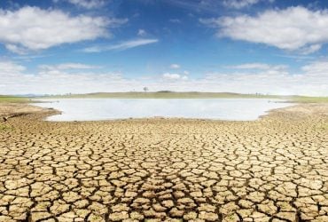 Усунення осиного гнізда за 5 хвилин: безпечні методи для вашого дому 7
