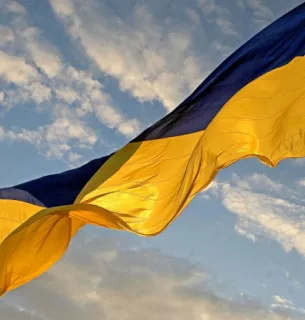 Плакун-трава на Одещині: пік цвітіння створює яскраві літні краєвиди 15