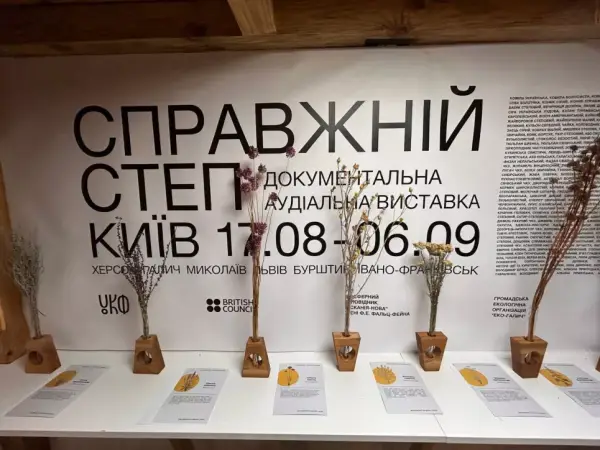 Київський музей демонструє 20-хвилинну подорож степом в інтерактивній інсталяції 11
