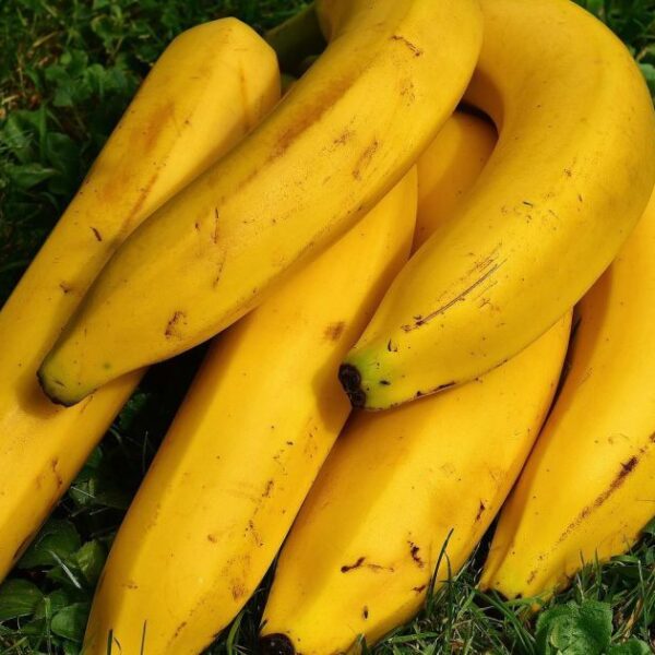 Які продукти руйнують банани за ніч: поради експертів