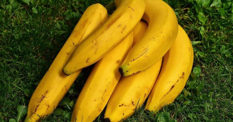 Які продукти руйнують банани за ніч: поради експертів 5 Які продукти руйнують банани за ніч: поради експертів 3
