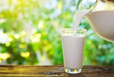 П'ять продуктів, що перевершують насіння за вмістом вітаміну Е 6