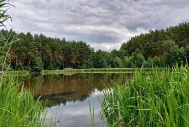 П'ять продуктів, що знижують ефективність вітаміну D: рекомендації фармацевта 8 П'ять продуктів, що знижують ефективність вітаміну D: рекомендації фармацевта 8