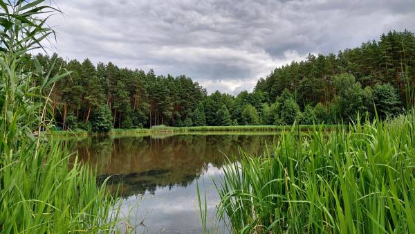 Річкова вода: несподівані ризики для вашого здоров’я