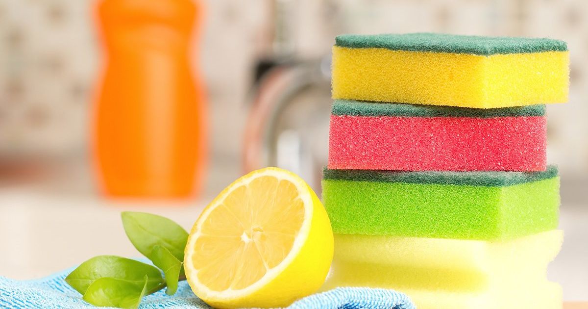 Як оцет очистить кухонні губки від бактерій 2 Як очистити кухонну губку від бактерій