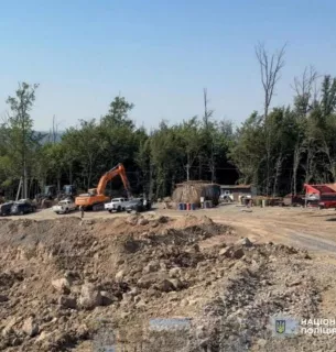 Як котяче товариство руйнує міфи про чорних котів 14