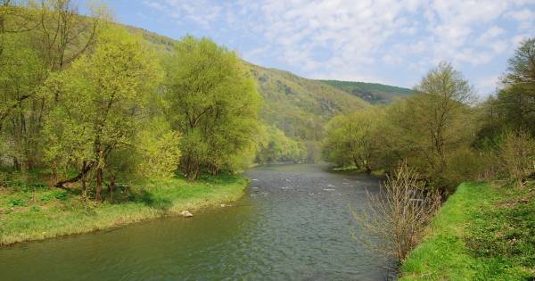 Мукачево потерпає від посухи: Латориця критично обміліла