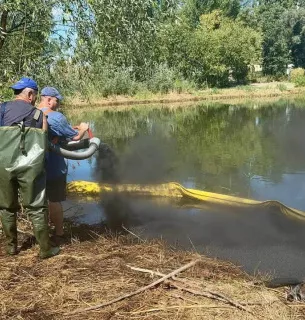 Найочікуваніші квіти до 1 вересня: вибираємо букет для першого дзвоника 13