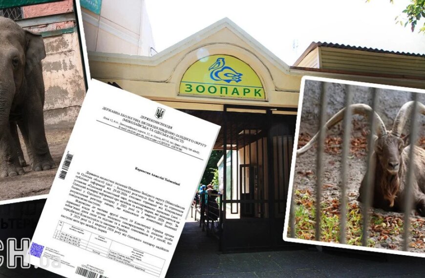 Зоопарк Одеси: 41 смерть за рік та звинувачення у жорстокому&hellip;