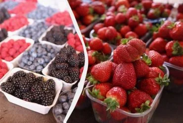 Кухонний жир зникає від народної суміші: ефективний догляд за поверхнями 6 Кухонний жир зникає від народної суміші: ефективний догляд за поверхнями 6