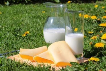 7 щоденних продуктів для міцних кісток: рекомендації вчених 6 7 щоденних продуктів для міцних кісток: рекомендації вчених 6