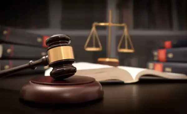 Власника ділянок на Київщині судитимуть за несанкціоноване сміттєзвалище 4