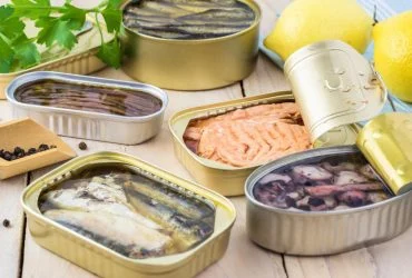 Цілющі ягоди: як чорниця сповільнює старіння мозку 9