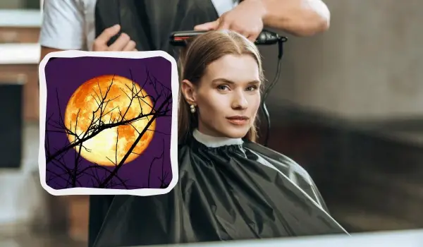 Визначте 12 днів у жовтні для ідеальної стрижки за місячним календарем 8